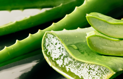 The Best Aloe Vera Skincare Products for Healthy, Soothed Skin