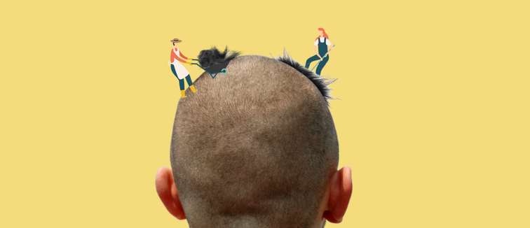Buzzcut Hair Growth