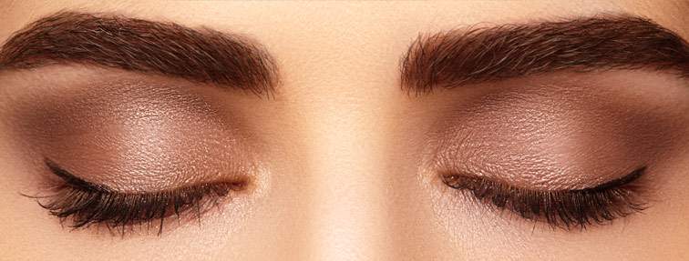 Model Brows