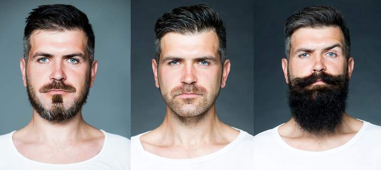 Range of beards