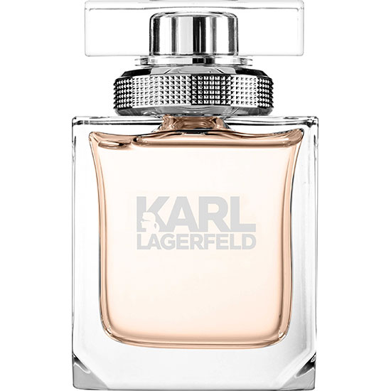 Karl Lagerfeld Pour Femme Eau De Parfum Spray 3 oz