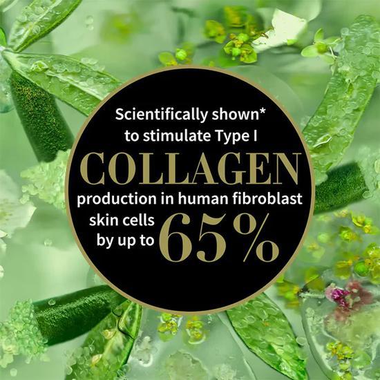 Antipodes Lime Caviar Collagen-Rich Firming Cream 2 oz