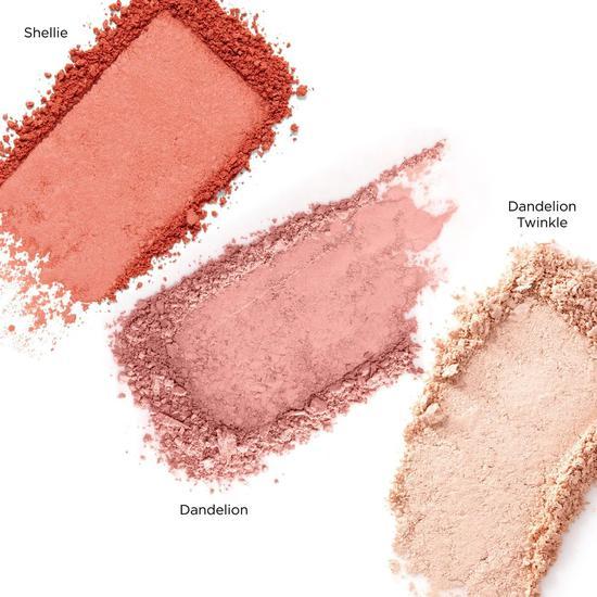 Benefit Cheek Party Package Palette Full Size Blush + Highlighter Palette