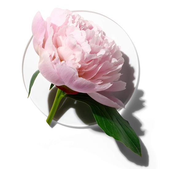 Clinique My Happy Peony Picnic Eau De Parfum 0.5 oz
