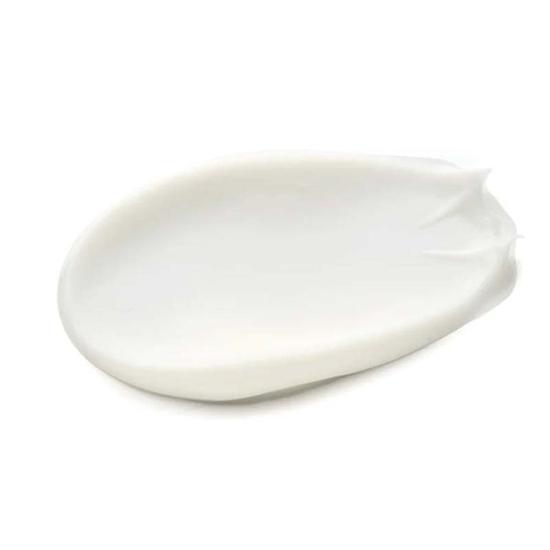 Q+A Ginger Root Daily Moisturizer 3 oz