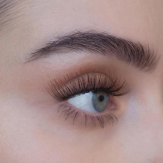 Sweed Lashes Caro Brown
